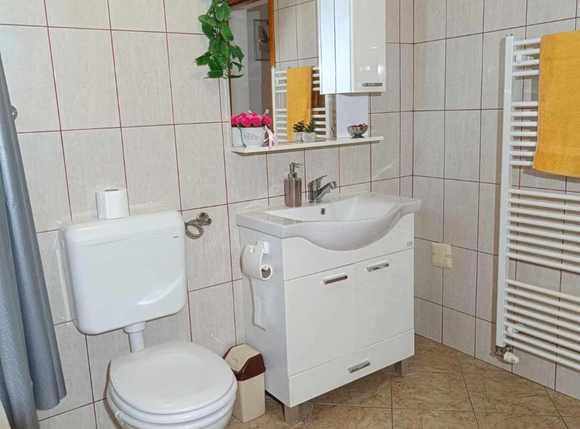 Apartmani Tea I Toni Gradiste 外观 照片